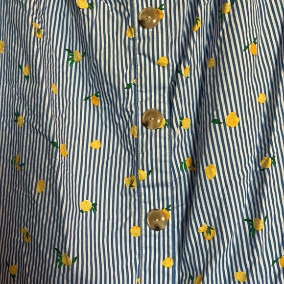 J. Crew women’s blue and white striped lemon short sleeve blouse size XXL - Picture 3 of 8